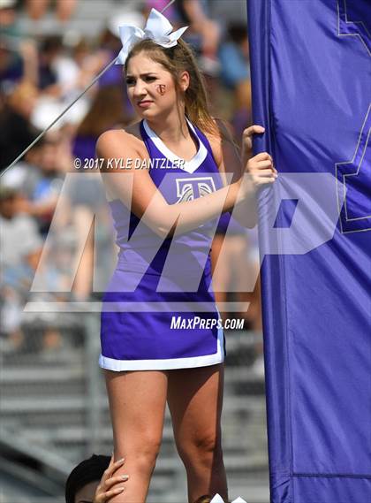 Thumbnail 3 in Nimitz @ Timber Creek photogallery.