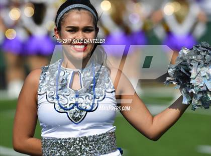 Thumbnail 2 in Nimitz @ Timber Creek photogallery.