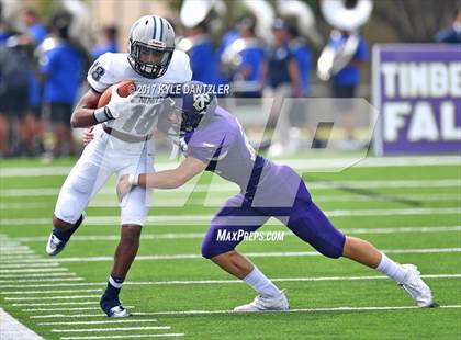 Thumbnail 1 in Nimitz @ Timber Creek photogallery.