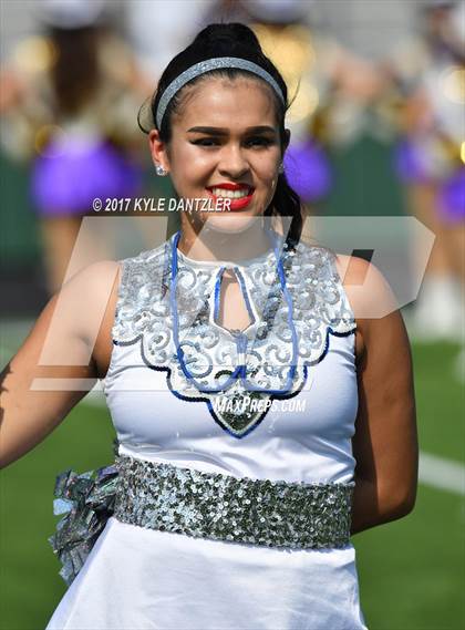 Thumbnail 1 in Nimitz @ Timber Creek photogallery.