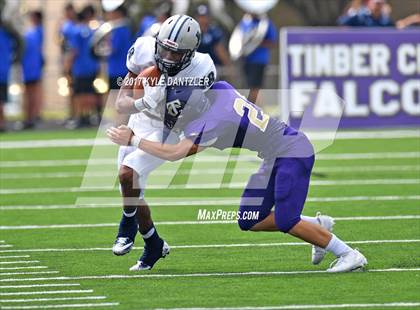 Thumbnail 3 in Nimitz @ Timber Creek photogallery.