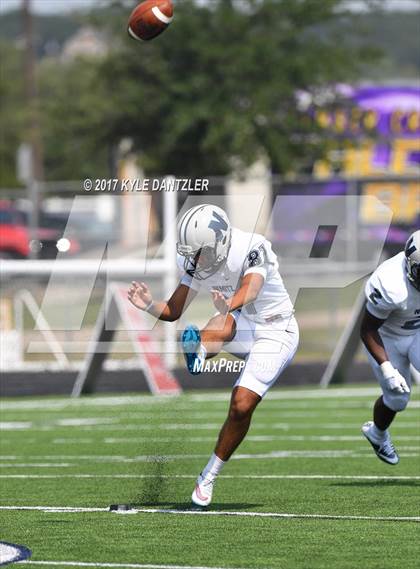 Thumbnail 2 in Nimitz @ Timber Creek photogallery.