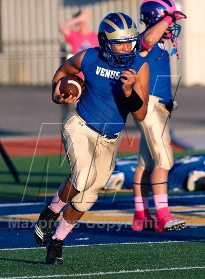 Thumbnail 3 in Hillsboro @ Venus photogallery.