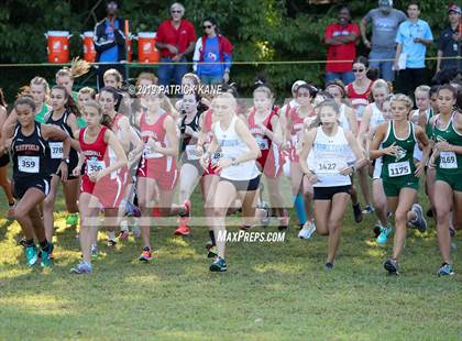 Thumbnail 2 in Monroe Parker Invitational photogallery.