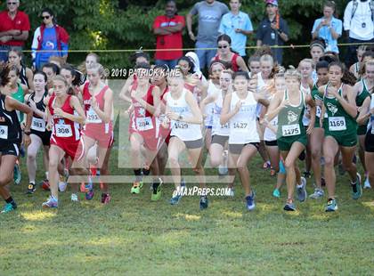 Thumbnail 3 in Monroe Parker Invitational photogallery.
