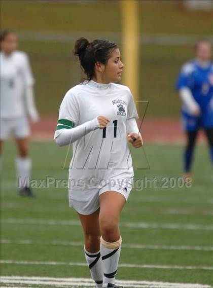 Thumbnail 3 in Briarcliff vs. Livonia (NYSPHSAA Class B Final) photogallery.