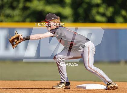 Thumbnail 1 in Lassiter @ Pope photogallery.