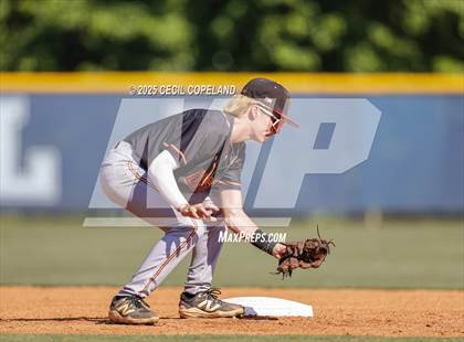 Thumbnail 2 in Lassiter @ Pope photogallery.