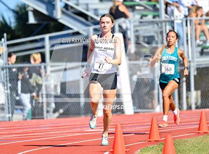 Thumbnail 2 in Guy Thomas Memorial (4 x 800 Relay) photogallery.