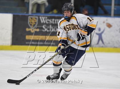 Thumbnail 3 in Cheshire @ Simsbury photogallery.