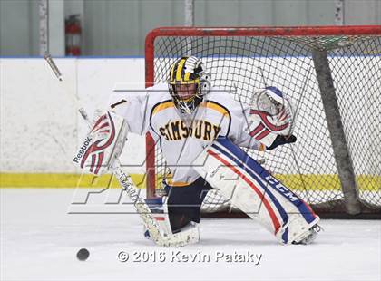 Thumbnail 3 in Cheshire @ Simsbury photogallery.