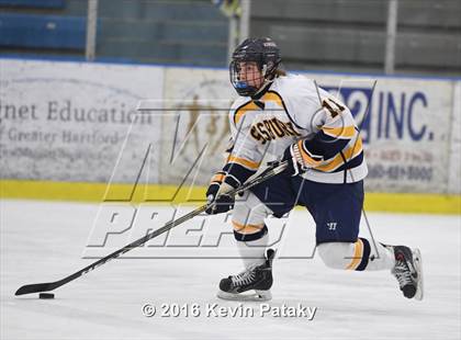 Thumbnail 1 in Cheshire @ Simsbury photogallery.