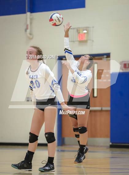 Thumbnail 3 in Mount Juliet Christian Academy @ Donelson Christian Academy photogallery.