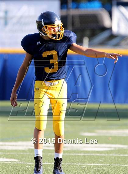 Thumbnail 3 in Miramonte @ Alhambra photogallery.