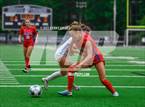 Photo from the gallery "Walton vs. Denmark (GHSA 7A Final)"