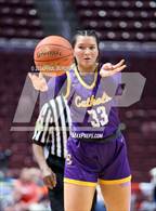 Photo from the gallery "Lancaster Catholic vs. Westmont Hilltop (PIAA 3A Championship)"