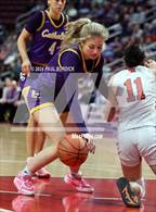Photo from the gallery "Lancaster Catholic vs. Westmont Hilltop (PIAA 3A Championship)"
