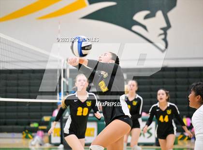 Thumbnail 3 in Coronado @ Patrick Henry photogallery.