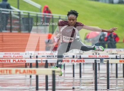 Thumbnail 2 in 50th Annual Loucks Games (Women’s 100 Meter High Hurdles ) photogallery.