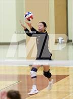 Photo from the gallery "Pebblebrook @ Lassiter"