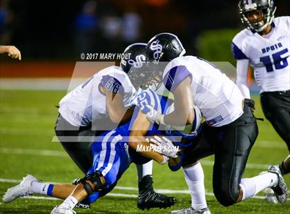 Thumbnail 2 in Spoto @ Jesuit photogallery.