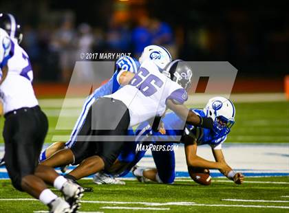 Thumbnail 3 in Spoto @ Jesuit photogallery.