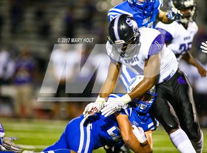 Thumbnail 1 in Spoto @ Jesuit photogallery.