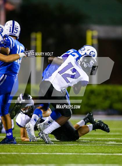 Thumbnail 1 in Spoto @ Jesuit photogallery.
