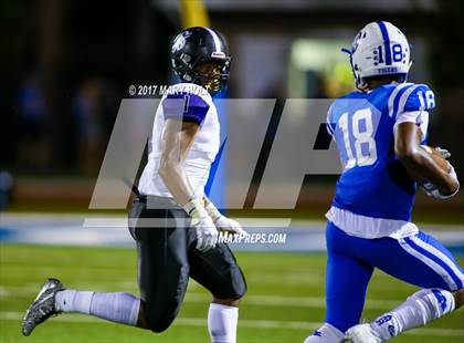 Thumbnail 1 in Spoto @ Jesuit photogallery.