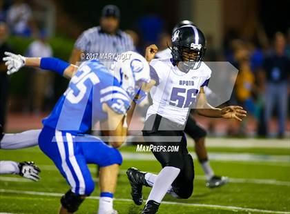 Thumbnail 3 in Spoto @ Jesuit photogallery.