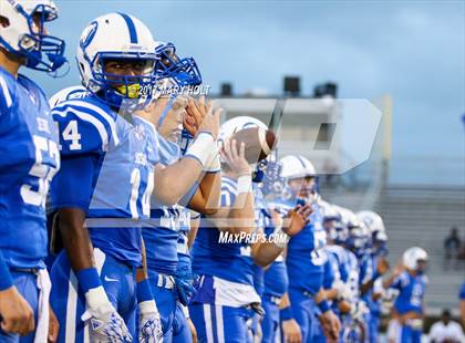 Thumbnail 1 in Spoto @ Jesuit photogallery.