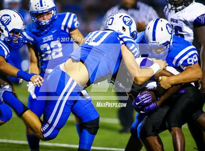 Thumbnail 3 in Spoto @ Jesuit photogallery.