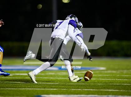 Thumbnail 3 in Spoto @ Jesuit photogallery.