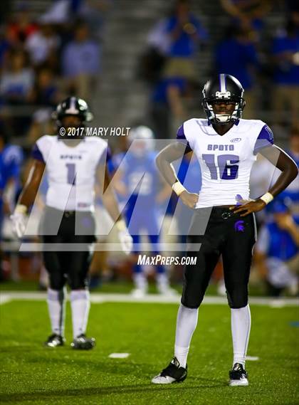 Thumbnail 3 in Spoto @ Jesuit photogallery.
