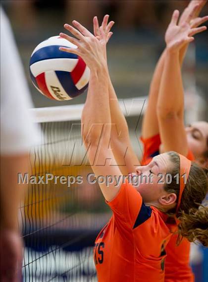 Thumbnail 1 in Clark @ Brandeis photogallery.