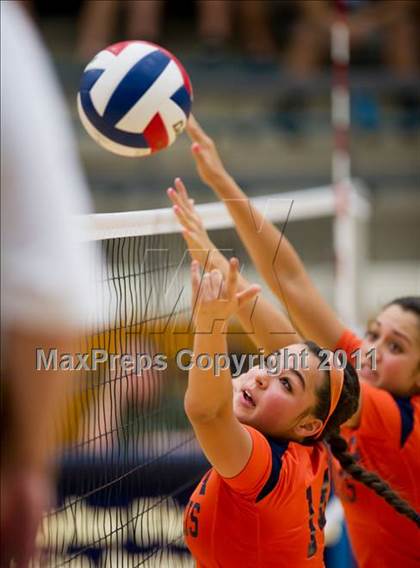 Thumbnail 3 in Clark @ Brandeis photogallery.