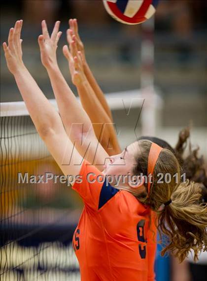 Thumbnail 1 in Clark @ Brandeis photogallery.
