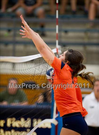 Thumbnail 1 in Clark @ Brandeis photogallery.