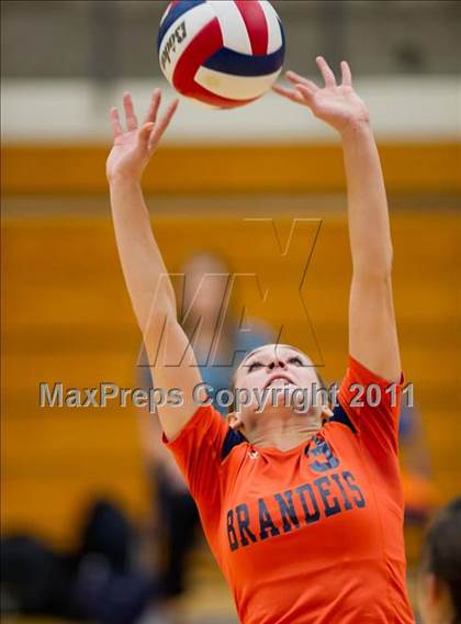 Thumbnail 1 in Clark @ Brandeis photogallery.