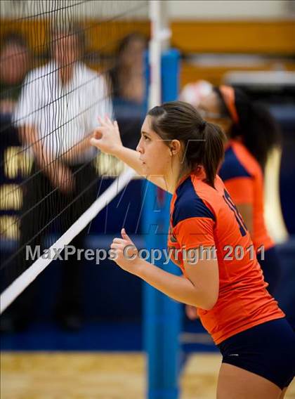 Thumbnail 1 in Clark @ Brandeis photogallery.