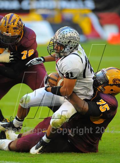 Thumbnail 1 in Mountain Pointe vs. Hamilton (AIA D1 Final) photogallery.
