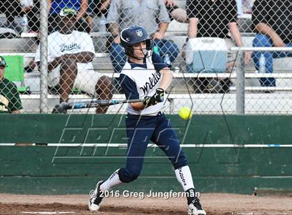 Thumbnail 2 in St. Patrick-St. Vincent vs Marin Catholic (CIF NCS D4 Final) photogallery.
