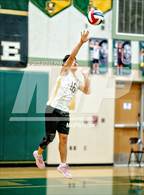 Photo from the gallery "Sheldon @ Monterey Trail"