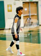 Photo from the gallery "Sheldon @ Monterey Trail"