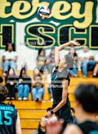 Photo from the gallery "Sheldon @ Monterey Trail"