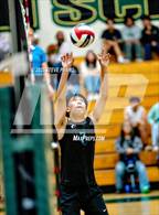 Photo from the gallery "Sheldon @ Monterey Trail"