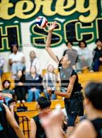 Photo from the gallery "Sheldon @ Monterey Trail"