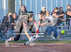 Photo from the gallery "Assumption @ E.D. White"