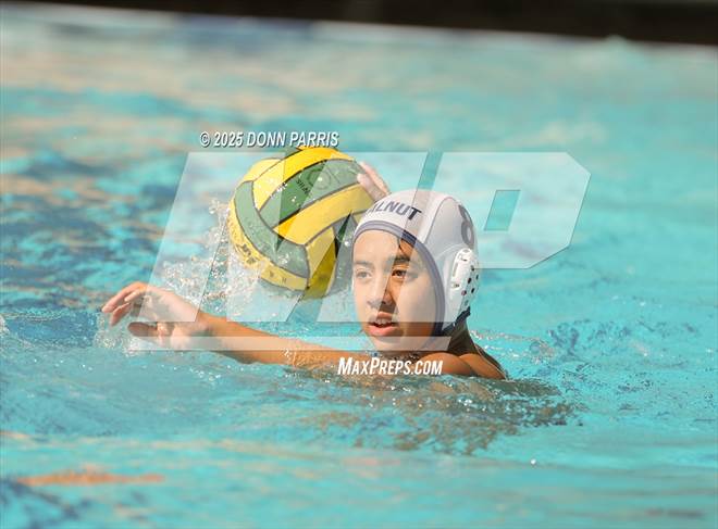 null - Photo 01