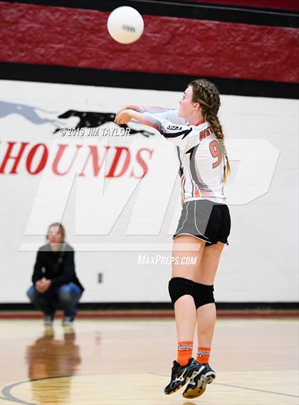Thumbnail 3 in Gustine @ Strawn photogallery.